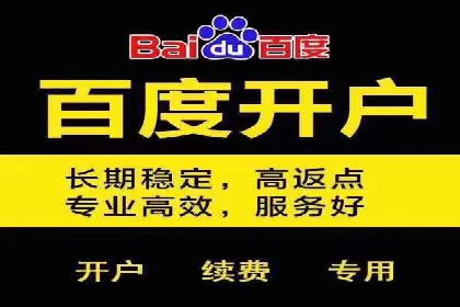 网络推广与竞价策略实战案例